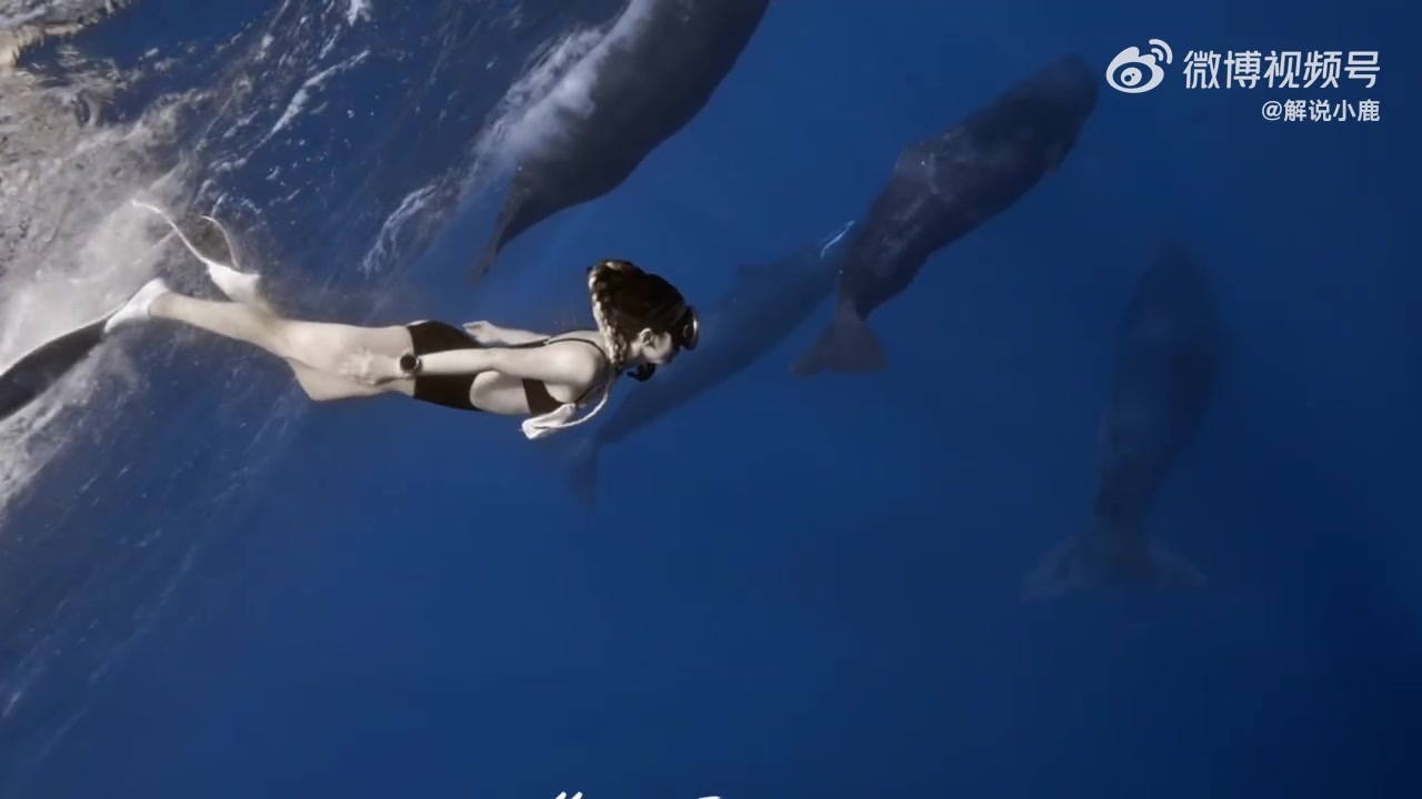png电子官网KPL女解说小鹿分享比基尼潜水视频：遇到抹香鲸🐋震撼无法形容