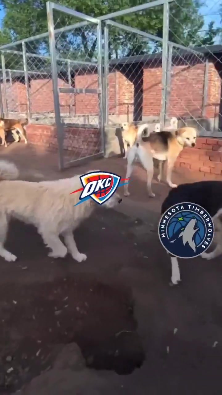 png电子网站🔥火到国外了！俄城警察局P图庆祝雷霆西部冠军：狗王来也~